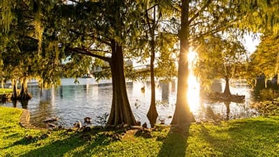 AA meetings in Orange County, Florida